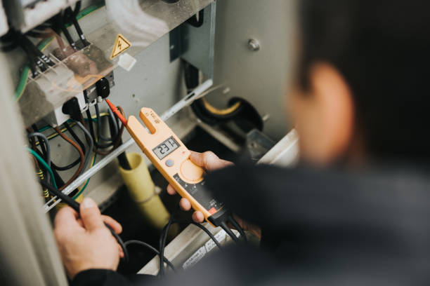 Best Electric Panel Repair  in Wood Dale, IL