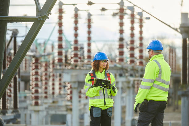 Best Generator Installation Services  in Wood Dale, IL