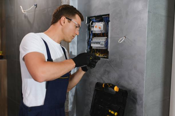 Best Ceiling Fan Installation Electrician  in Wood Dale, IL