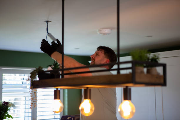 Best Electrical System Inspection  in Wood Dale, IL
